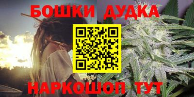 индика Можайск