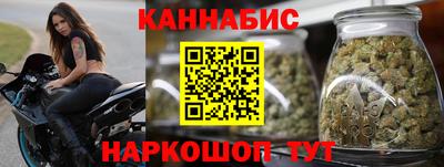 индика Можайск