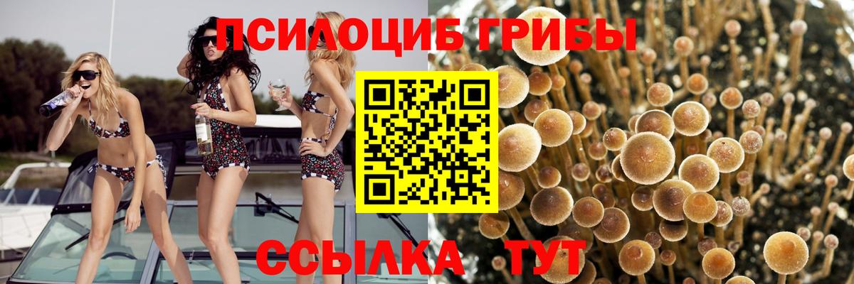 Псилоцибиновые грибы Magic Shrooms Верхний Уфалей